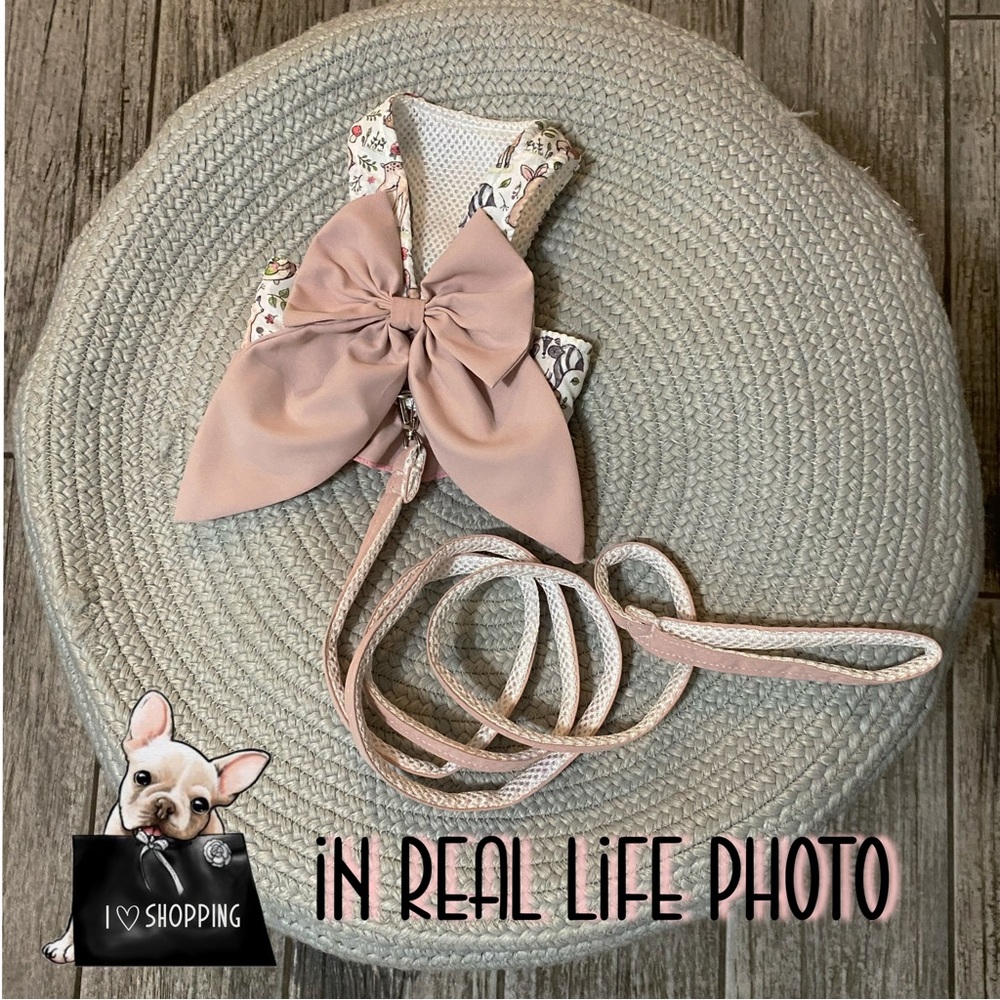 Precious doggie Bow Harness and leash set